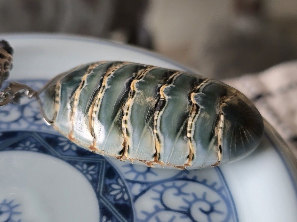 sea cockroach Pendant Unique Piece