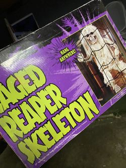 Skeleton