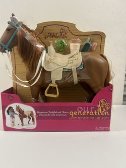 American Saddlebred Horse