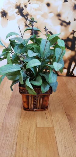 Artificial Plant in Vase