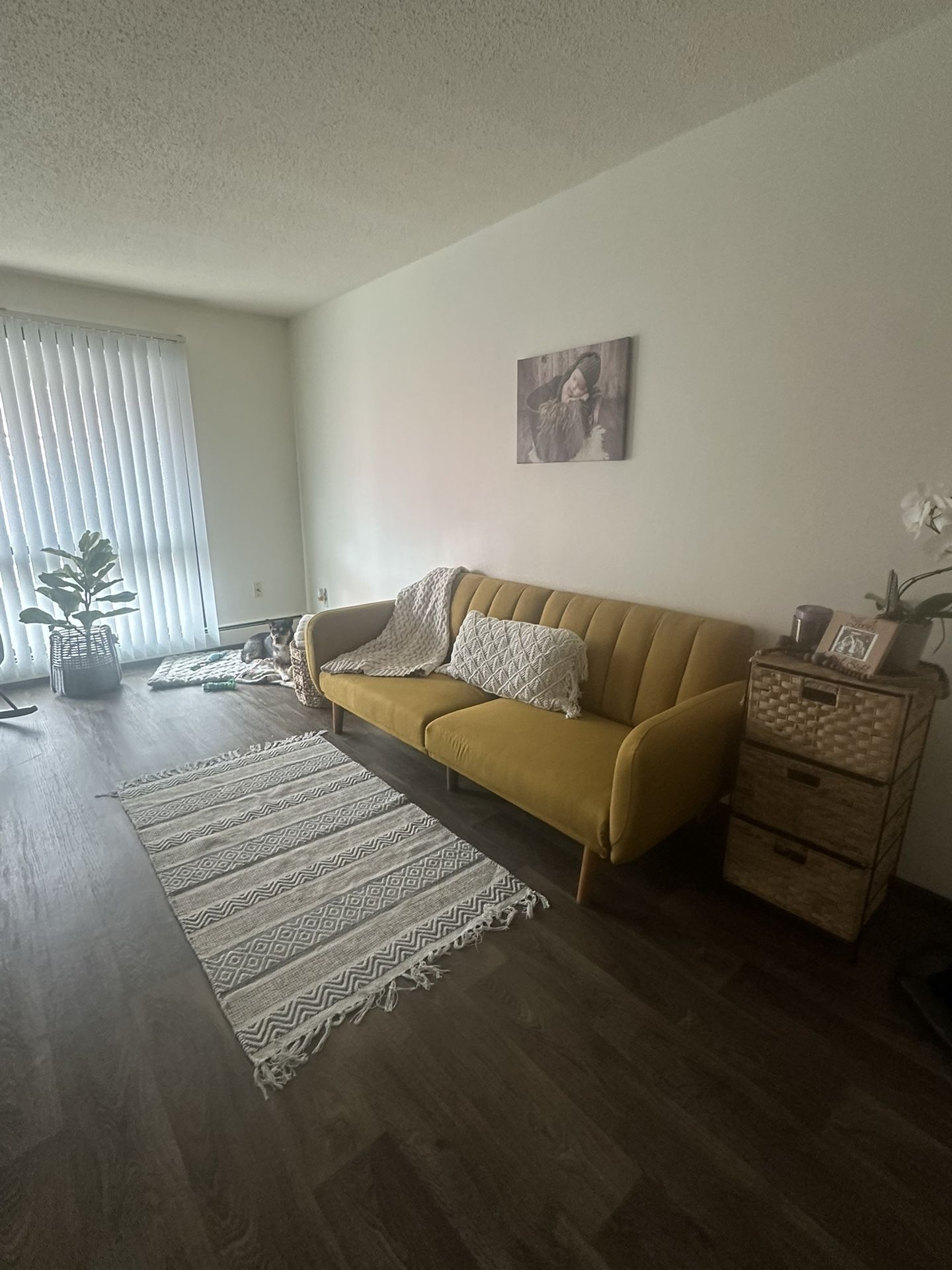 Sofa/ Futon