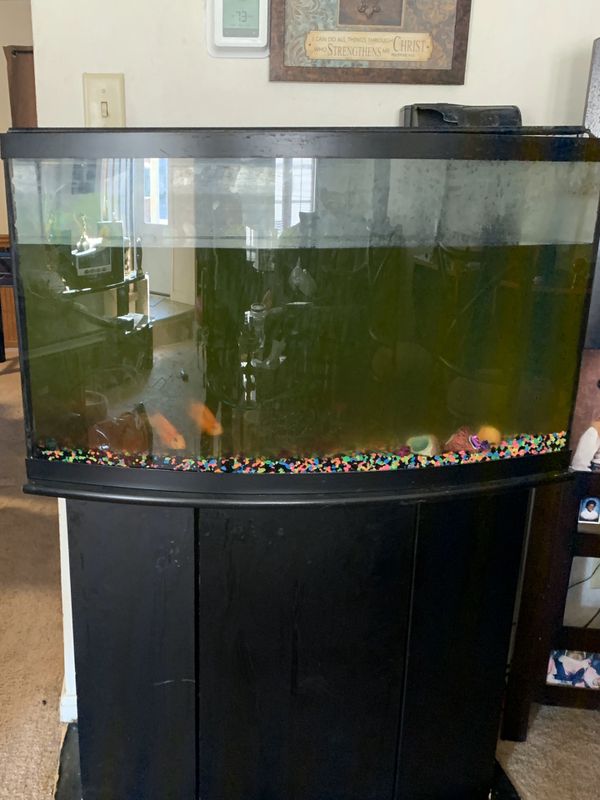55 Gallon Fish Tank/stand for Sale in Virginia Beach, VA