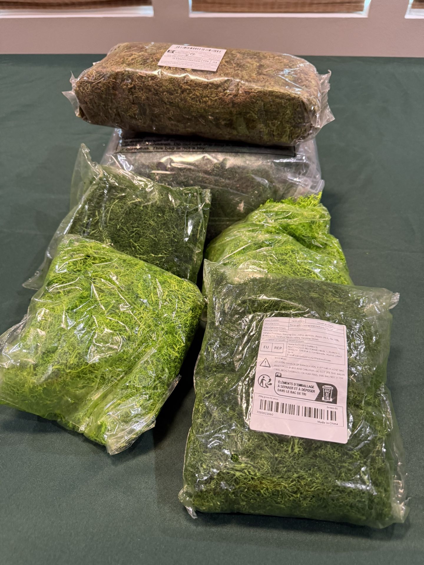 Moss & Wooden discs For Crafts