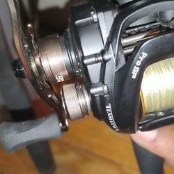 Fishing Poles 