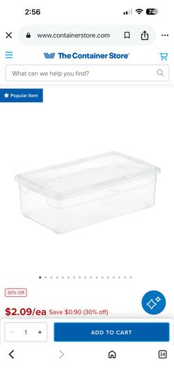 Container Store Clear Shoe Box