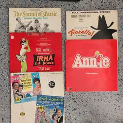 Record album lot