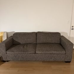 Pull Out Queen sized couch