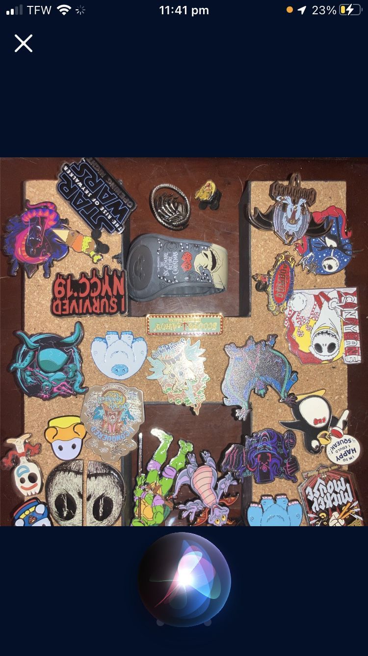 Splash Mountain Disney Pins And More Vintage Everything In Picture Displayed  