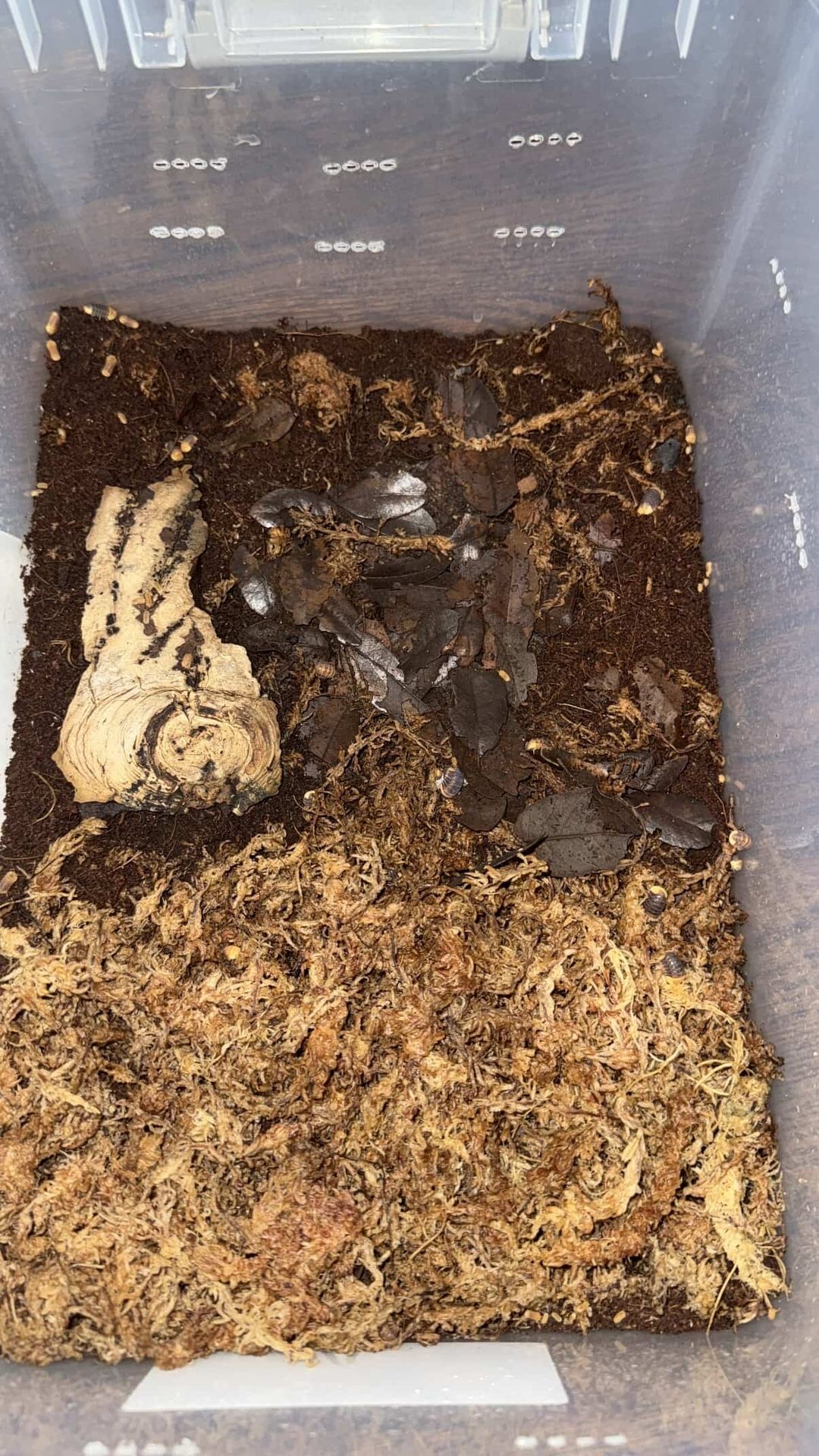 Rubber Ducky Enclosure