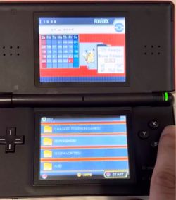 Nintendo DS Lite