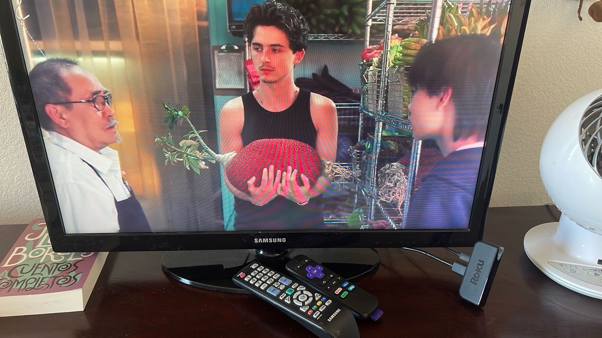 Small TV Samsung 29”with Remote & extra $25 Roku