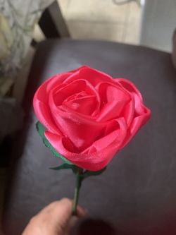 Pink Rose