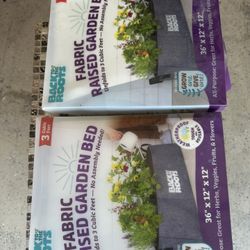 Plants
