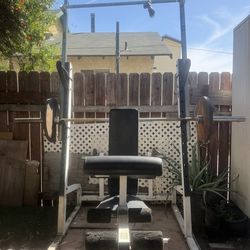 Bench Press, Squat Rack, Pull-ups , Weights , Calf Raise