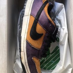 Nike SB right Shoe. Decent Condition (Still Skateable)