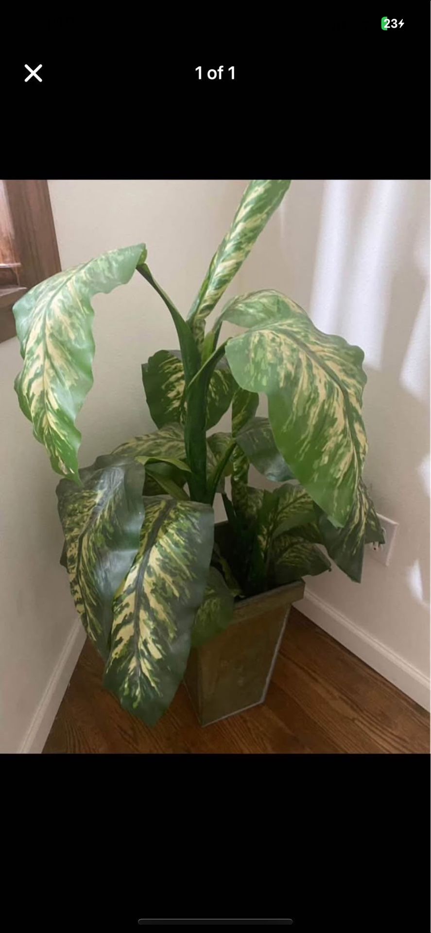 Fake Plant