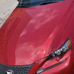Lexus Hood Only