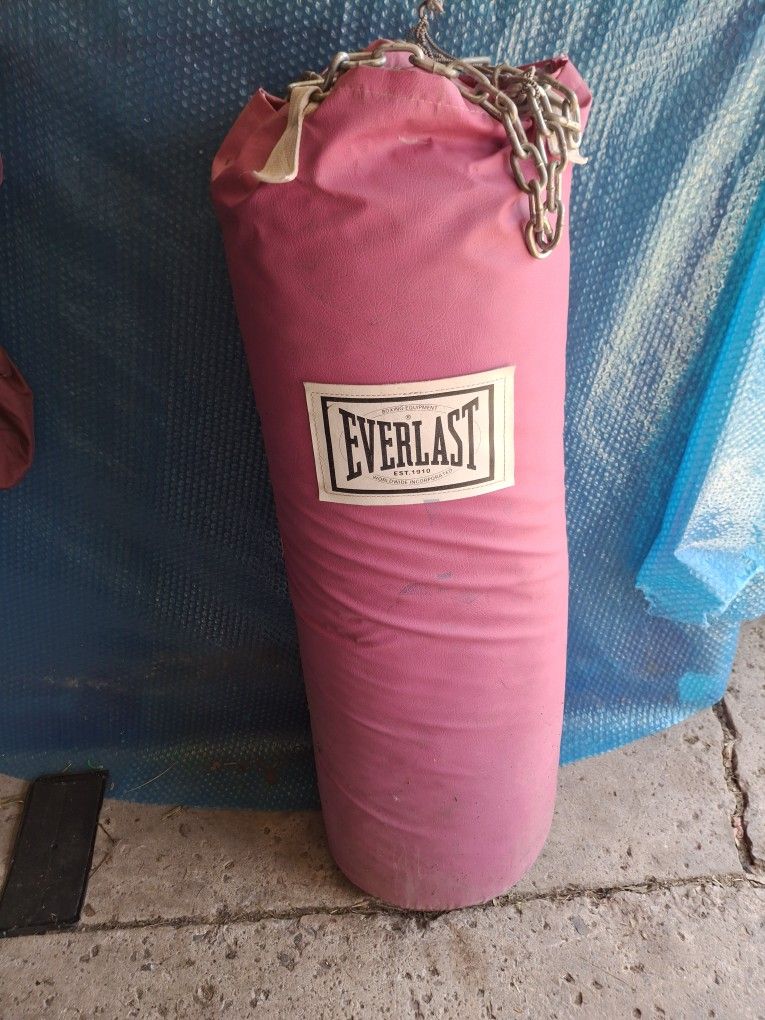 100 Lb Everlast Boxing Bag
