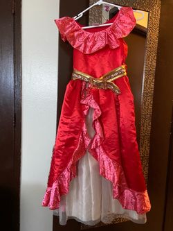Disney Elena costume
