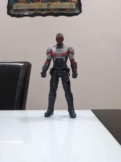 The falcon
