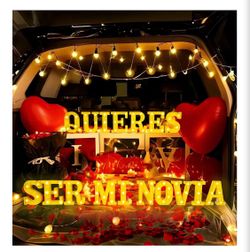 Quiere ser mi novia LED lights