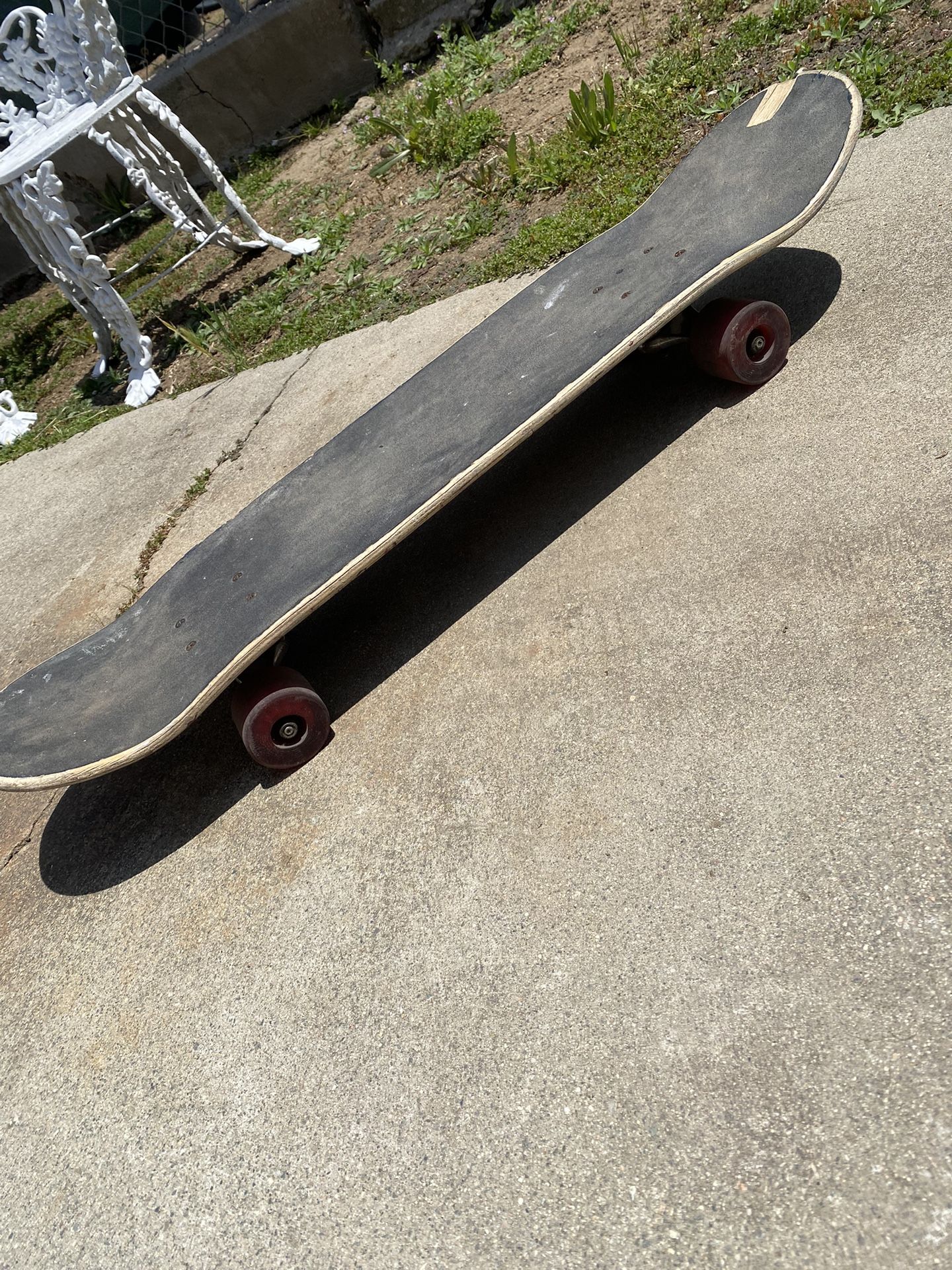 Skateboard / Patineta 