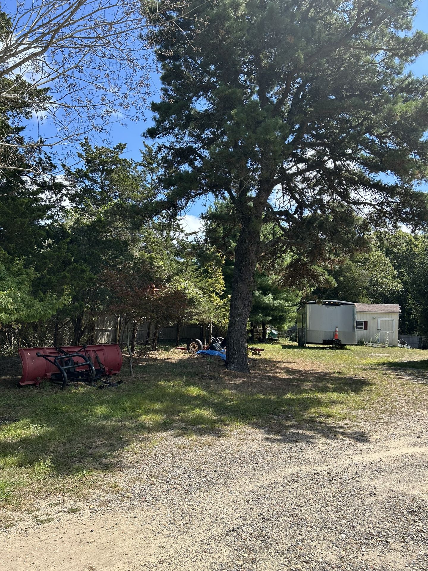 FREE Firewood! U Cut And Haul Away⁉️