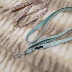 Dog Leash