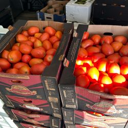 Free Produce Giveaway 