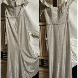 Silver Dress Size Large