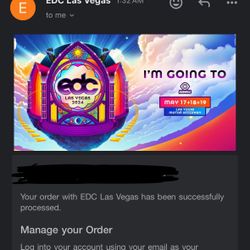 EDC Las Vegas 2024 VIP Ticket