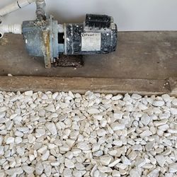 Water Pump 