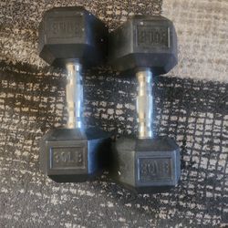 2 30 Lb  Dumbells 