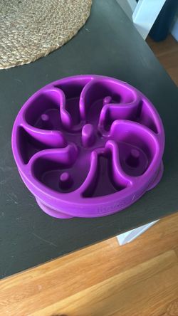 Purple Dog Slow Feeder