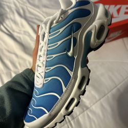Nike Air Max Plus 10.5
