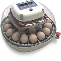 Incubator For Hatching Eggs 