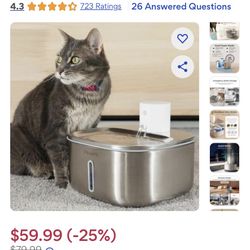 Cat Water Fountain