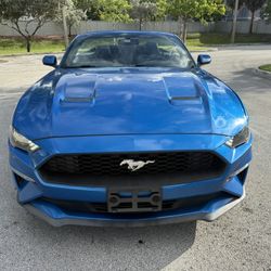 2019 Ford Mustang 