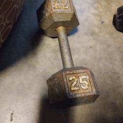 25lb iron dumbbell 
