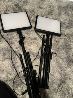 Content Lights