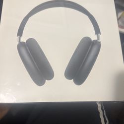 Airpod Maxs Pros