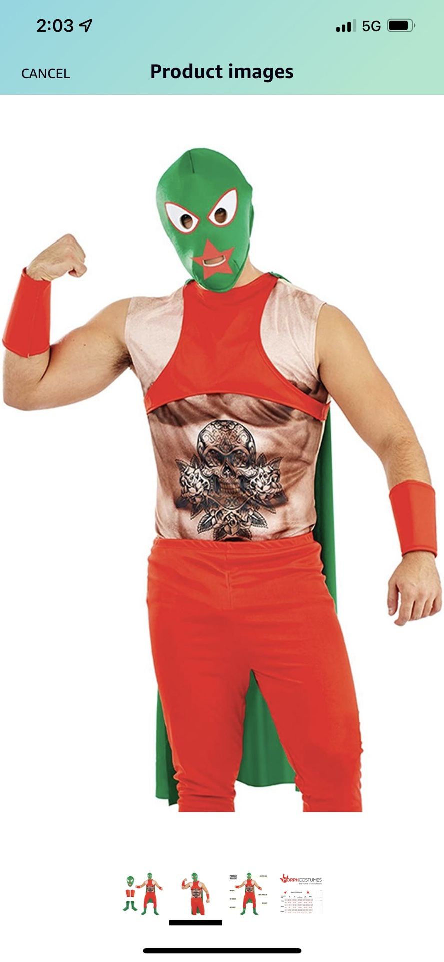 Men Mexican Wrestler Costume