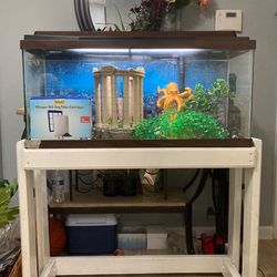 Fish Tank (free stuff Included)