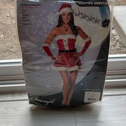 Santa Sweetie Costume 