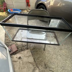 20 Gallon Tank 