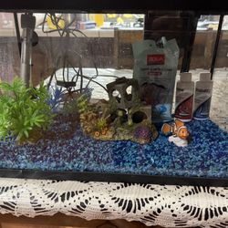 10 Gallon Fish Tank