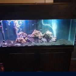 55” Fish tank and stand. 