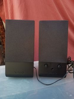 Sony vaio system speaker.