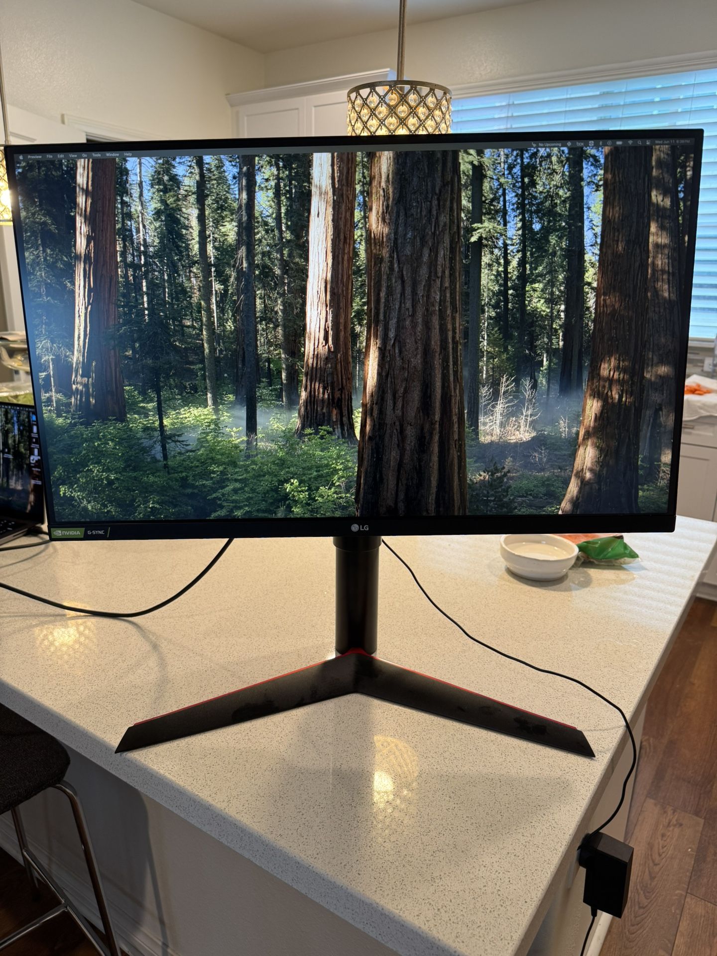 LG 27GL850 27” UltraGear™ 1440P Nano IPS Gaming Monitor