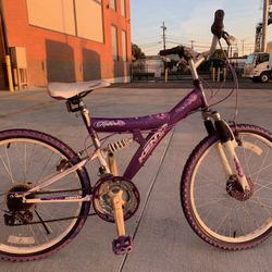 Bicycle Beautiful Size 24